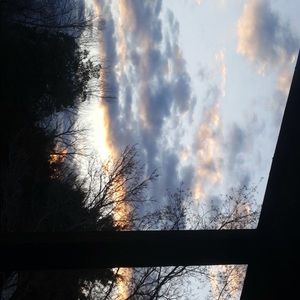 Meet your Posher, Caitlin